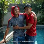 43
